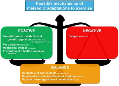 Editorial: Metabolic responses and adaptations to exercise